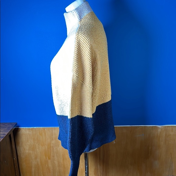 Colorblock Turtleneck Sweater - Picture 3 of 7